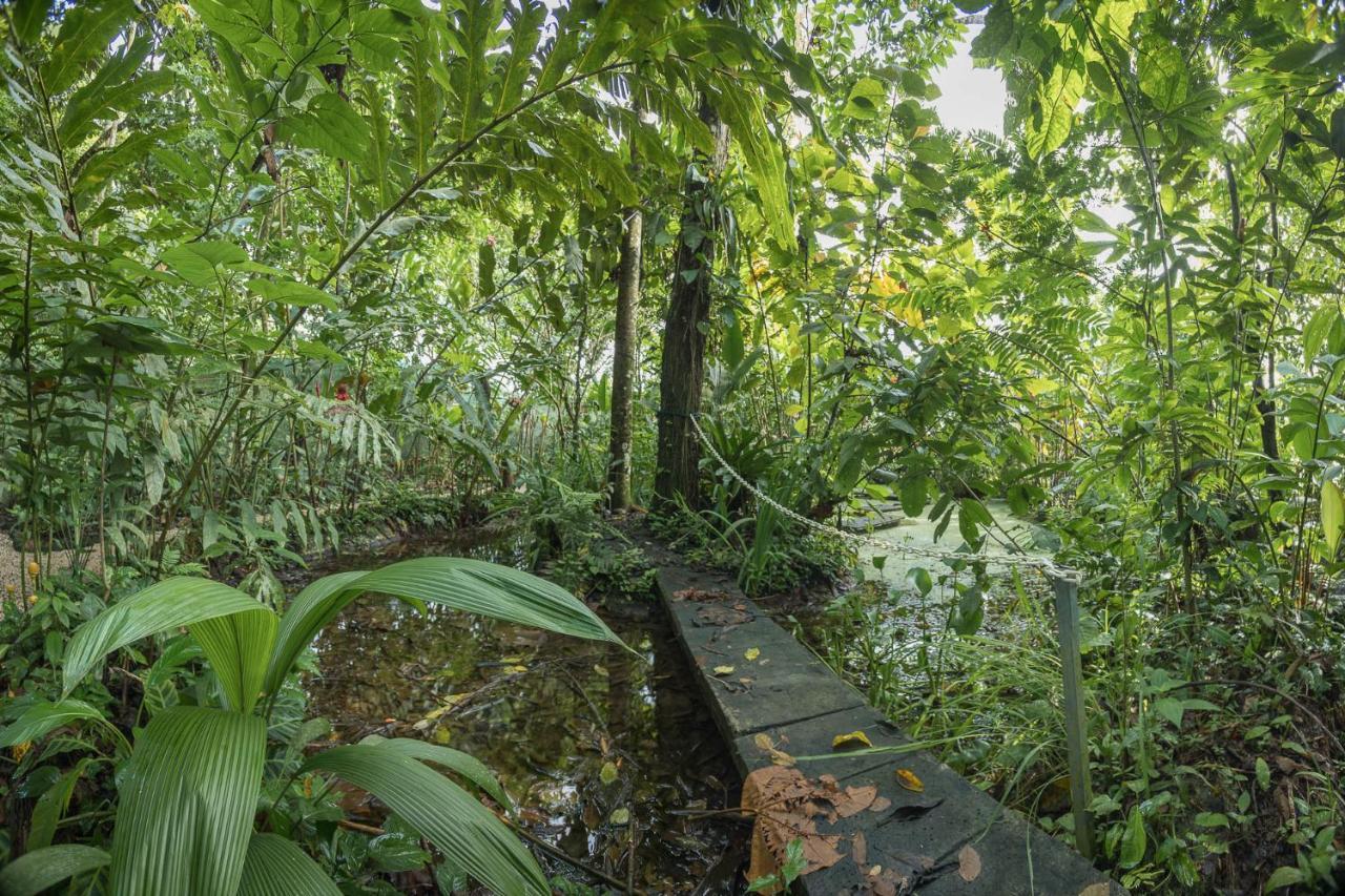 Cabanas Del Rio La Fortuna Eksteriør bilde