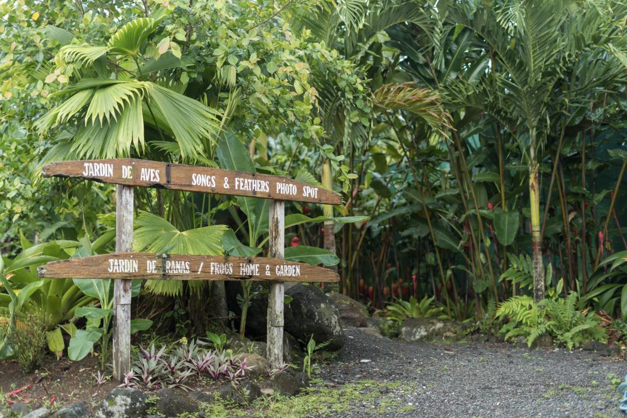 Cabanas Del Rio La Fortuna Eksteriør bilde