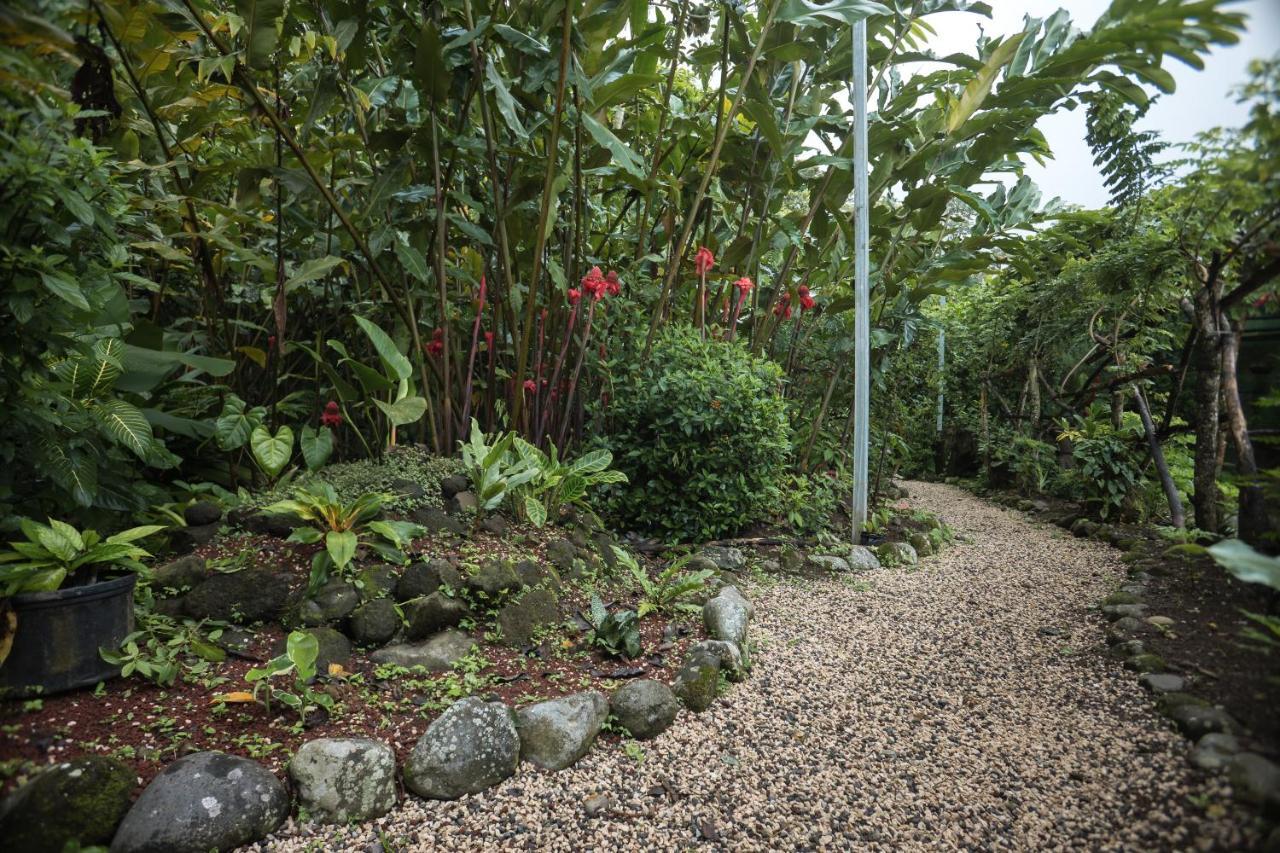 Cabanas Del Rio La Fortuna Eksteriør bilde