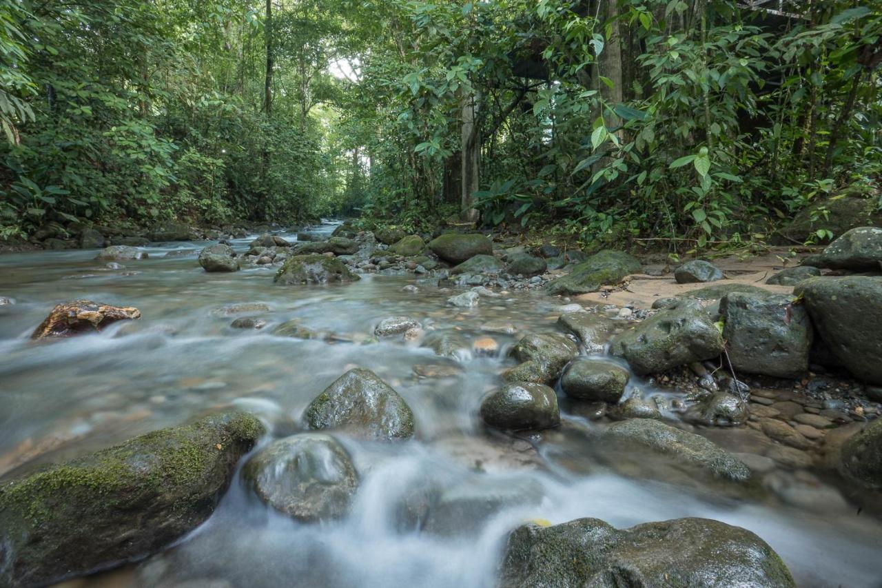 Cabanas Del Rio La Fortuna Eksteriør bilde