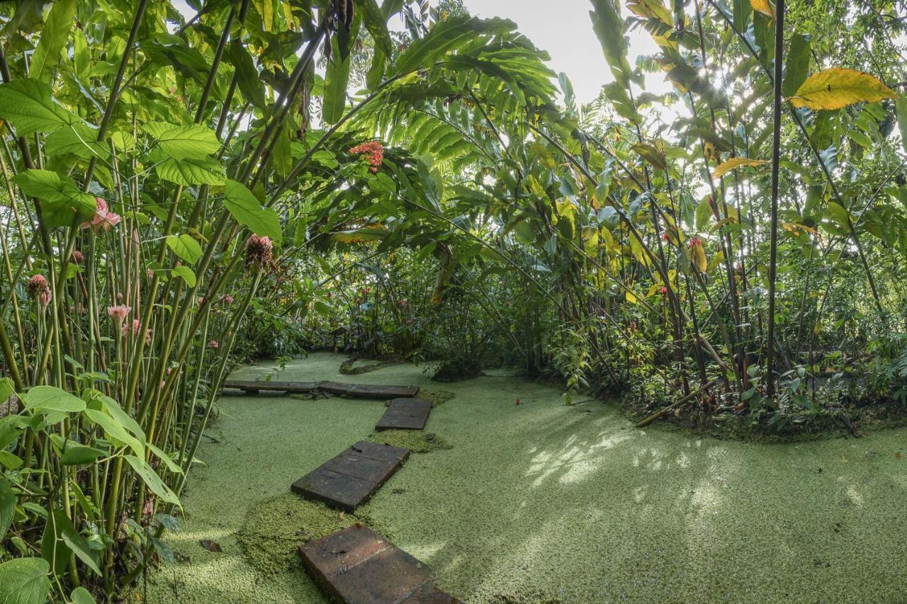 Cabanas Del Rio La Fortuna Eksteriør bilde
