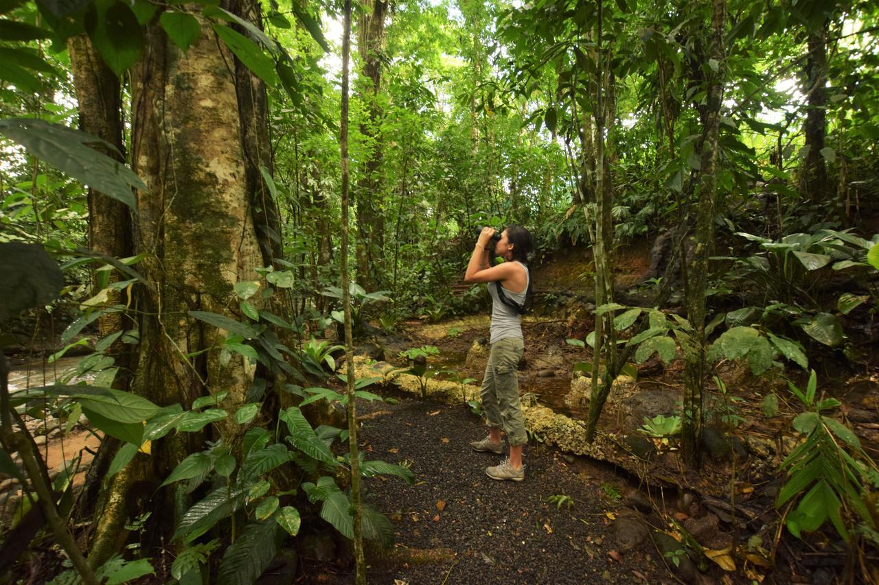 Cabanas Del Rio La Fortuna Eksteriør bilde